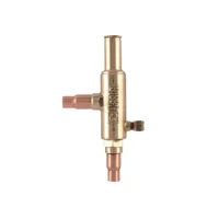 رگلاتور کستل