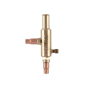 رگلاتور کستل