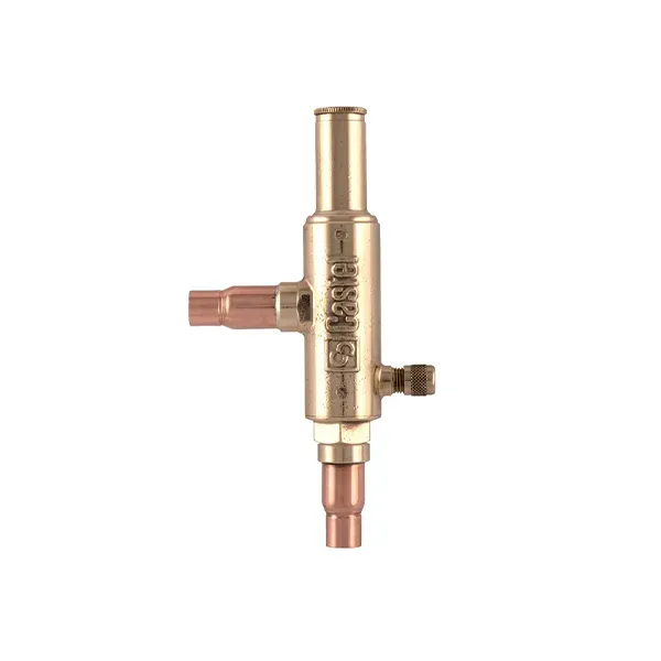 رگلاتور کستل